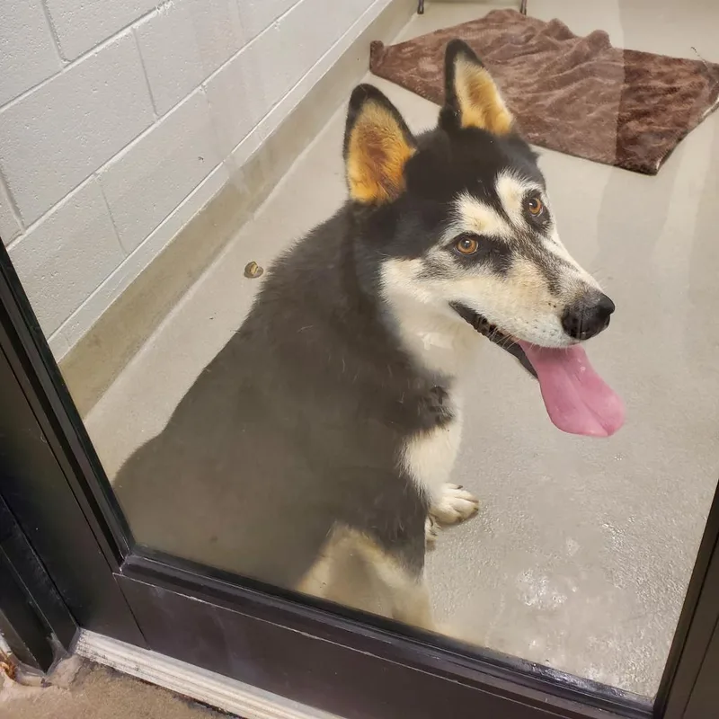 Fruit Punch thumbnail 5