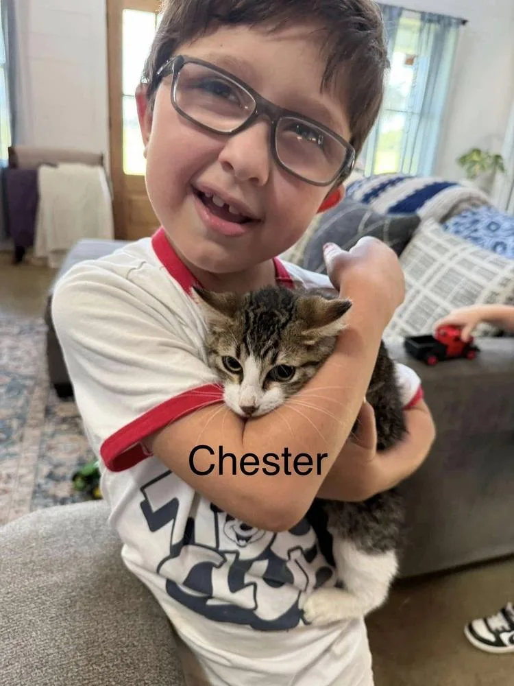 Chester thumbnail 2
