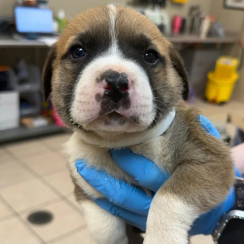 Wazowski thumbnail 2