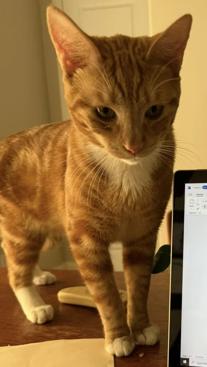 Mufasa With Manny thumbnail 2