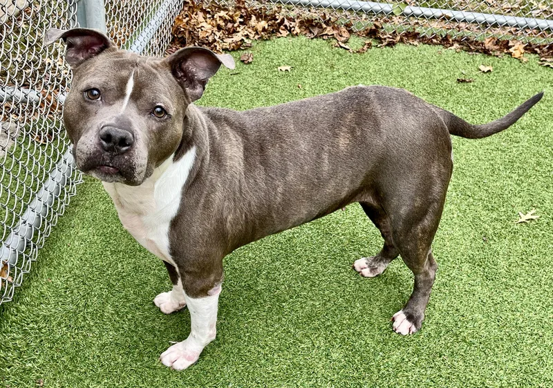 Mrs. Merritt thumbnail 2