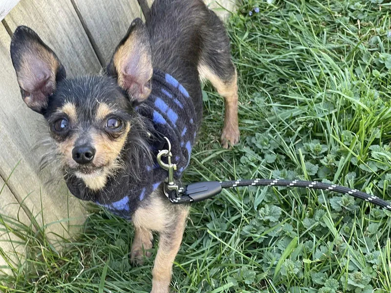 Gutherie thumbnail 3