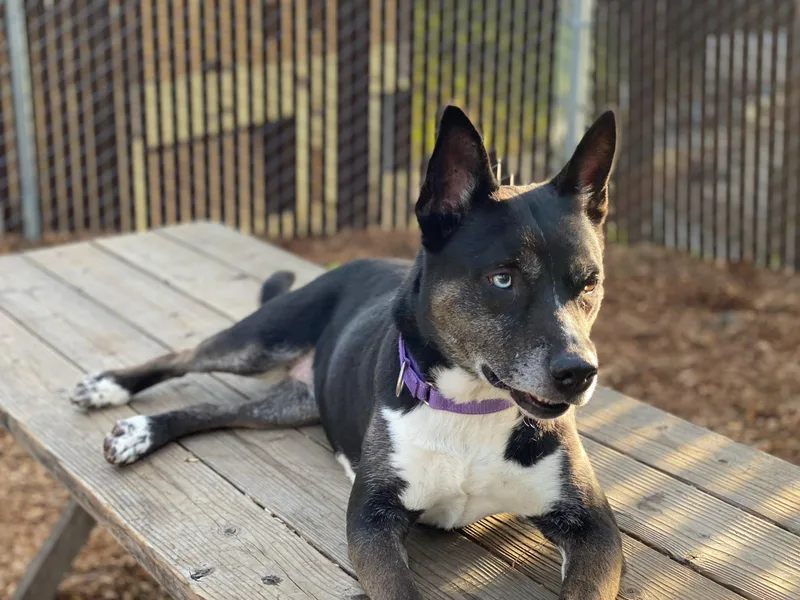 Bella  The Beauty! thumbnail 4