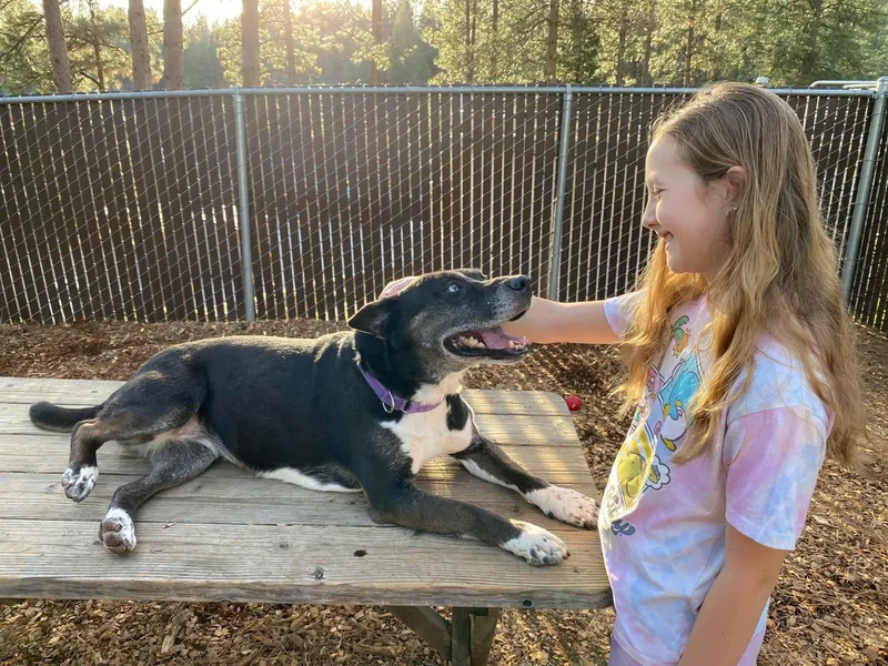 Bella  The Beauty! thumbnail 6