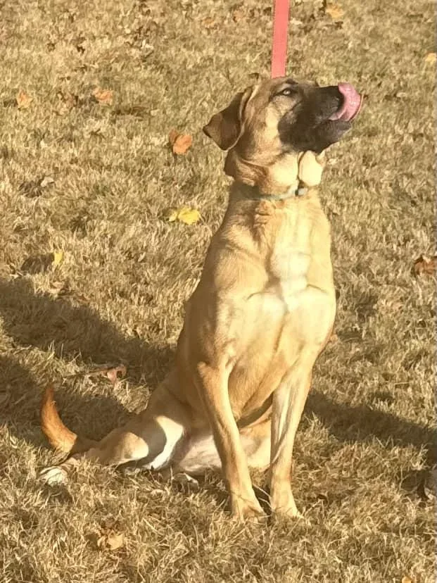 Arthiga thumbnail 3
