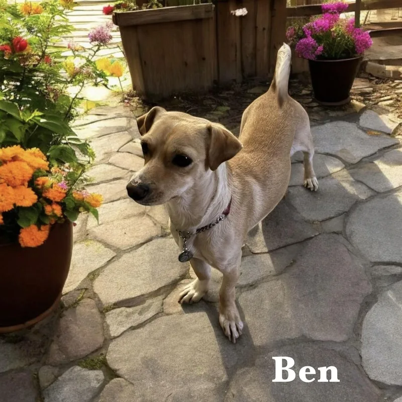 Ben