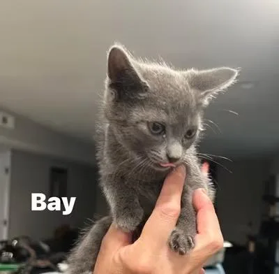 Bay thumbnail 2