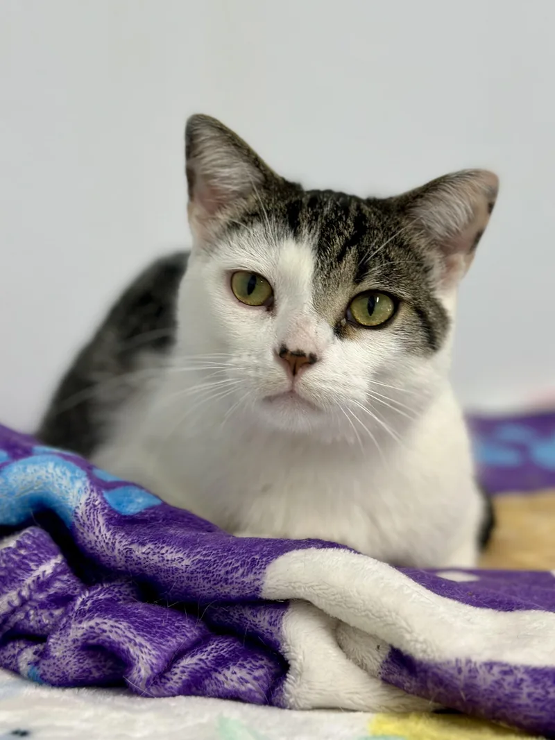 Melvin thumbnail 3