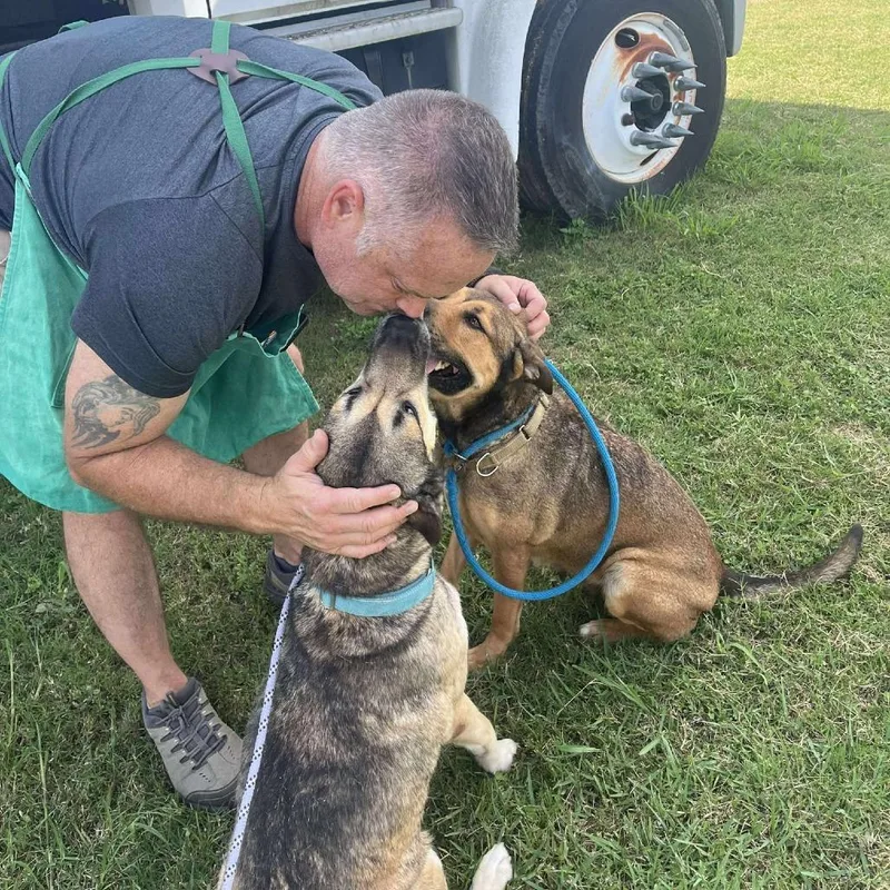 Ms. Dizzy Pickles thumbnail 2