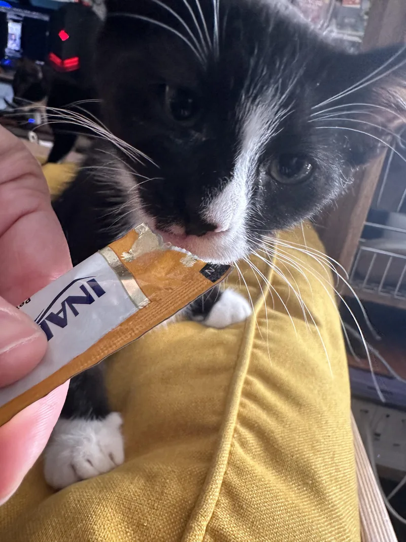 Bert thumbnail 2