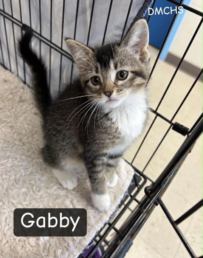Gabby thumbnail 2