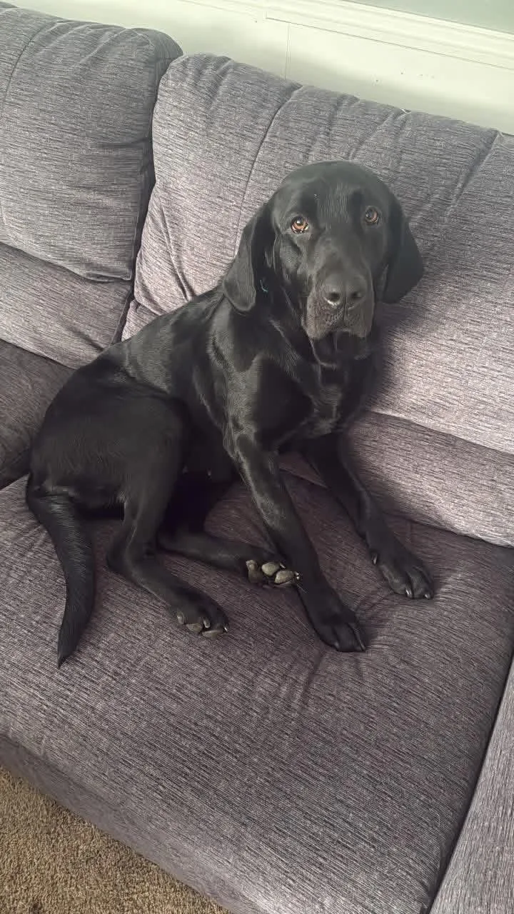 Megan & Mollie thumbnail 2