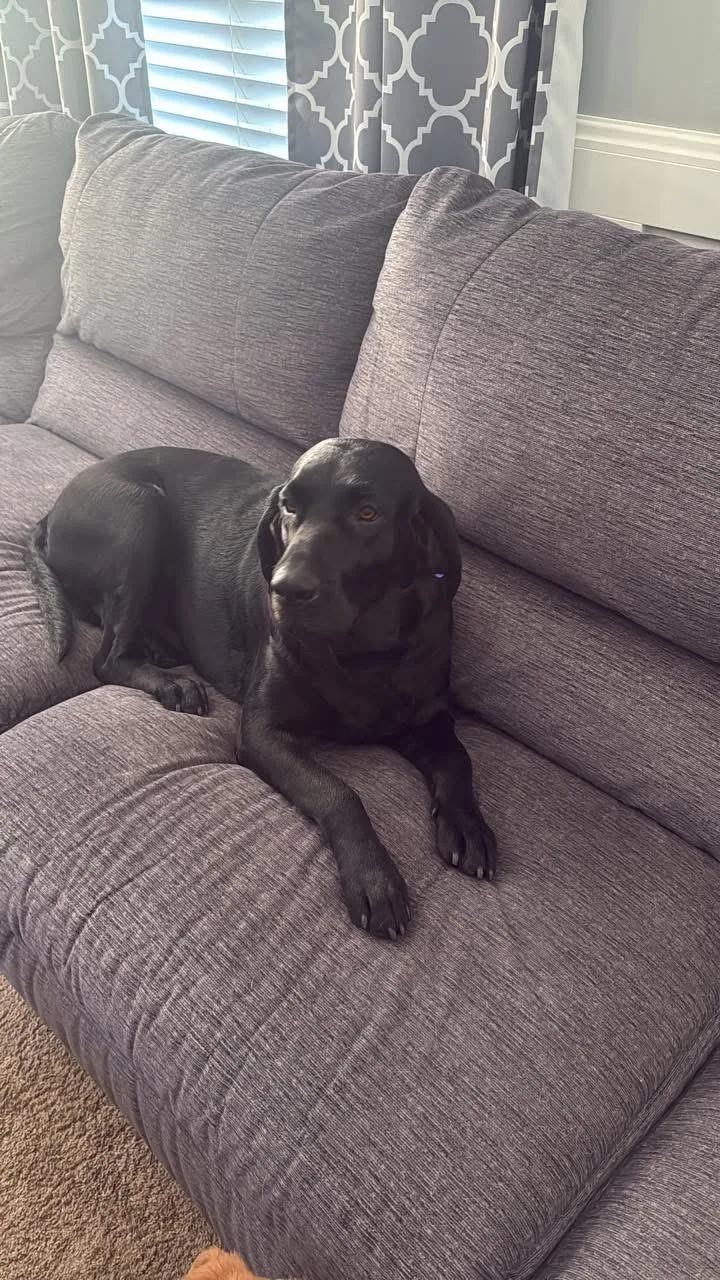 Megan & Mollie thumbnail 3