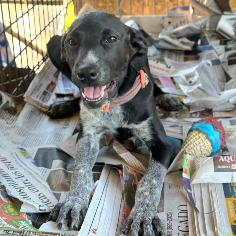 Willow Brook “your Love” thumbnail 2