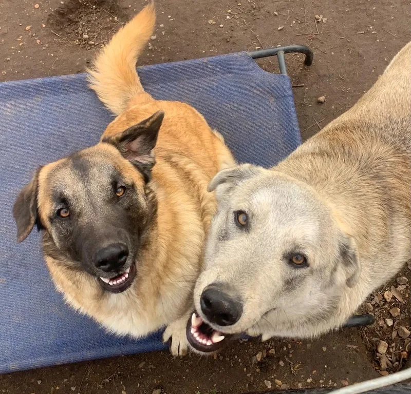 Silverado thumbnail 2