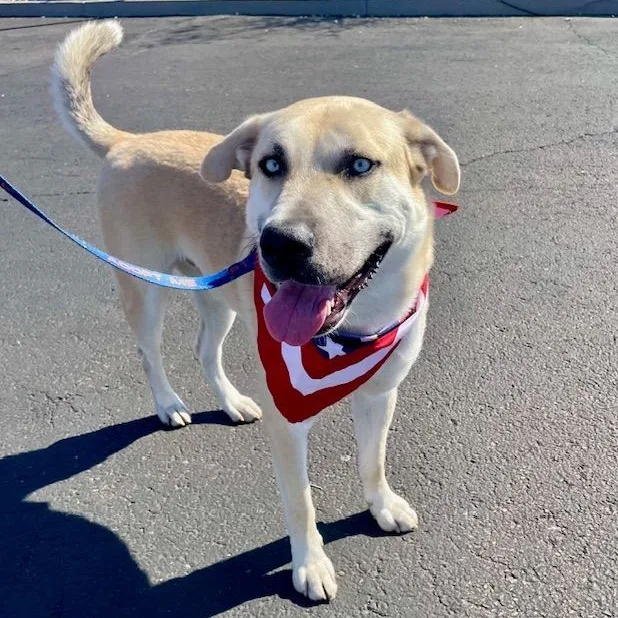 Jack Frost thumbnail 5