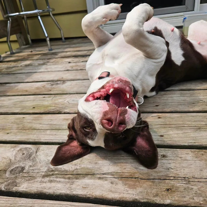 Coco thumbnail 2