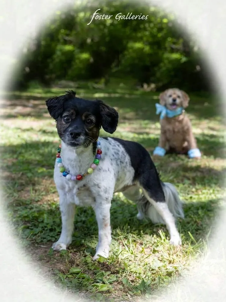 Bonnie and Leelo thumbnail 2