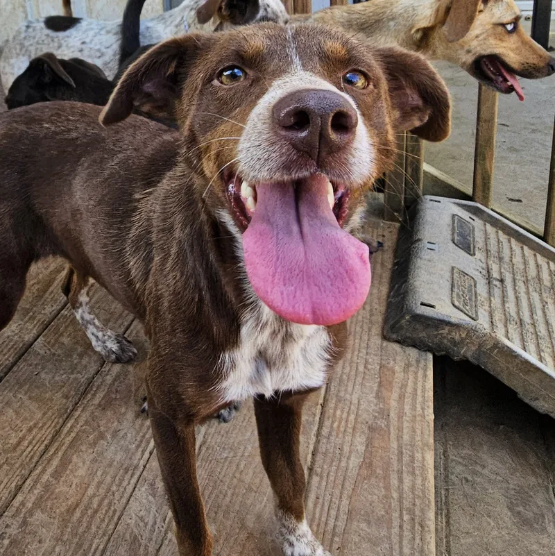 Elizabeth thumbnail 4