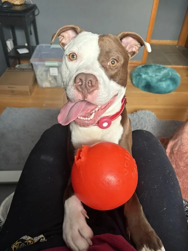 Max