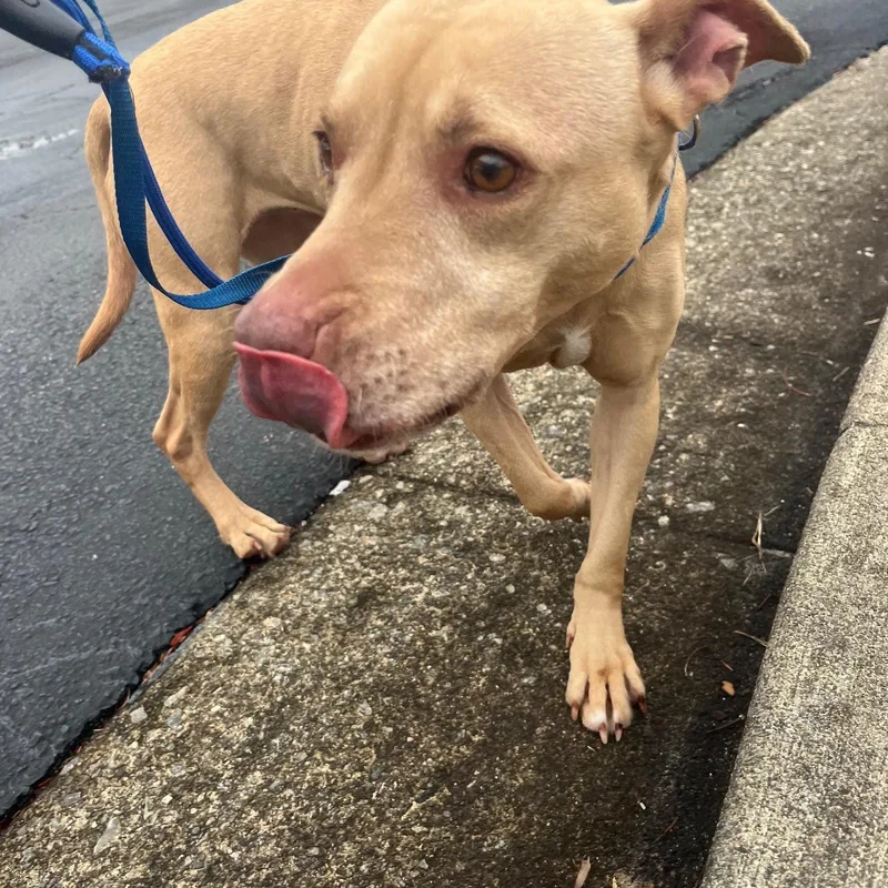 Shelby Polly thumbnail 3