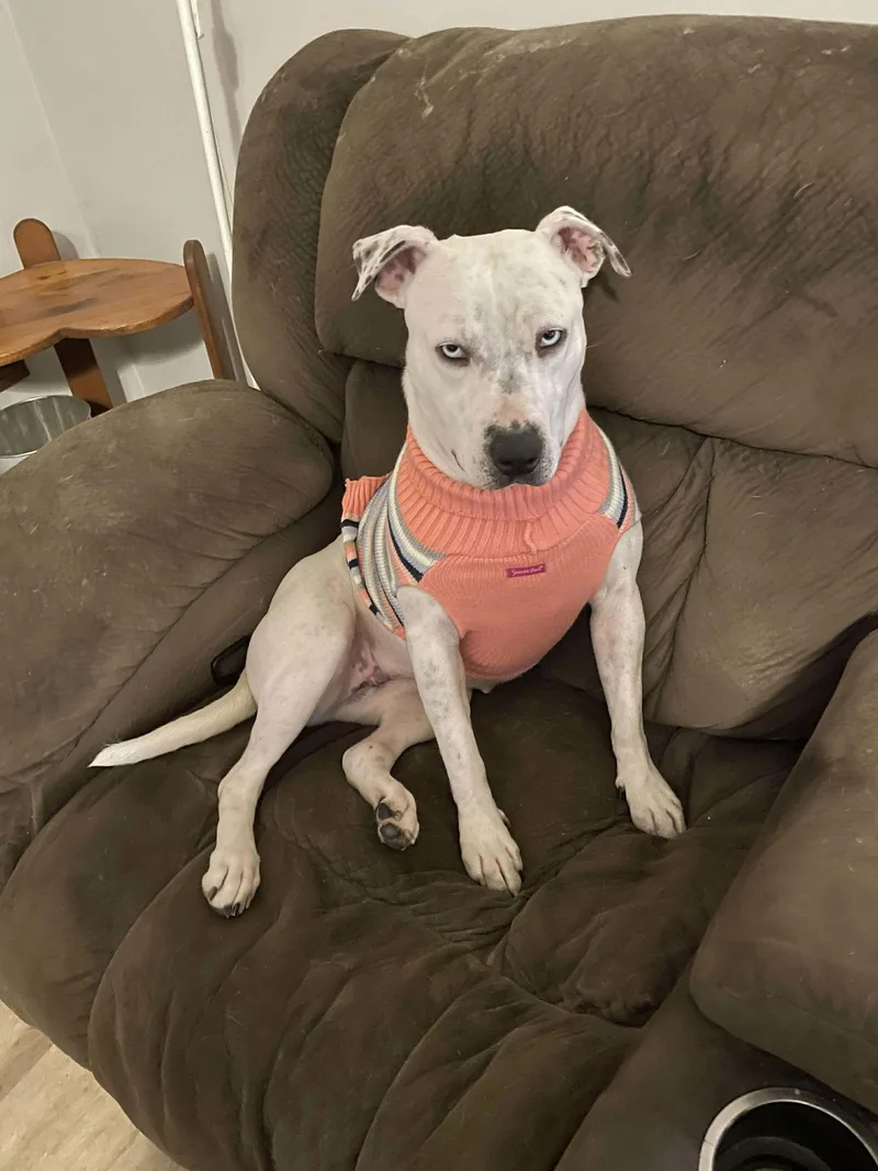 Sparkles thumbnail 2