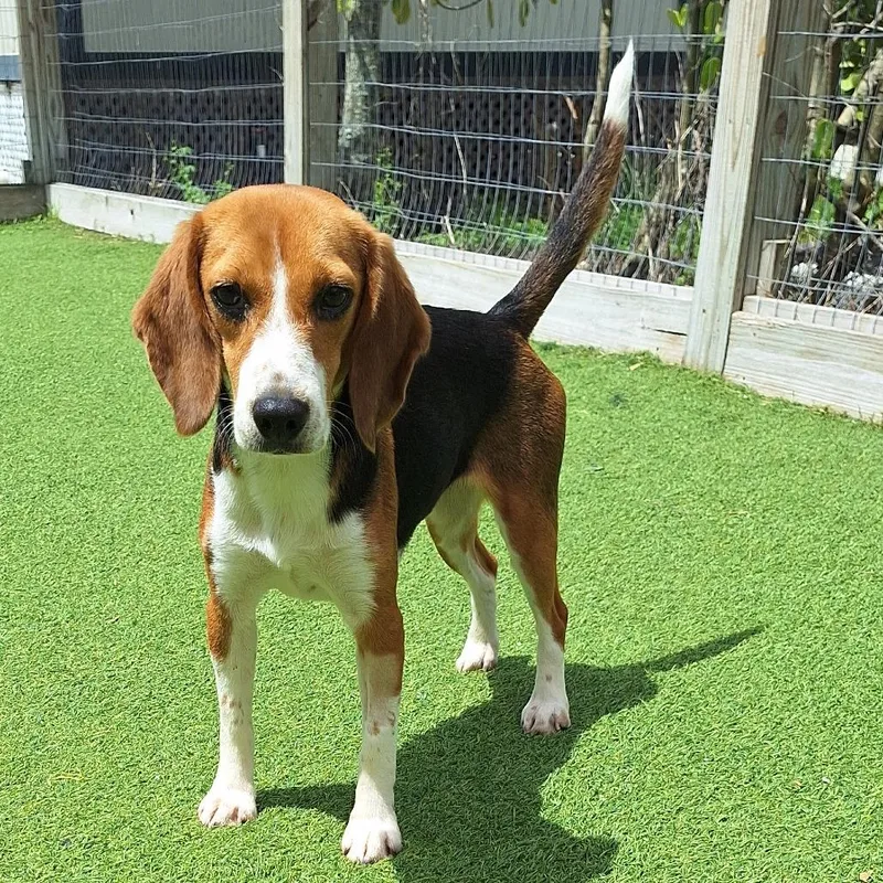 Isabella thumbnail 2