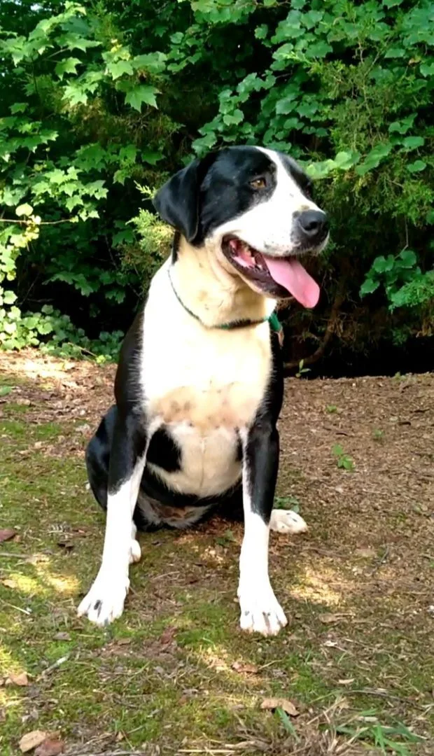 Luke & Lydia thumbnail 3