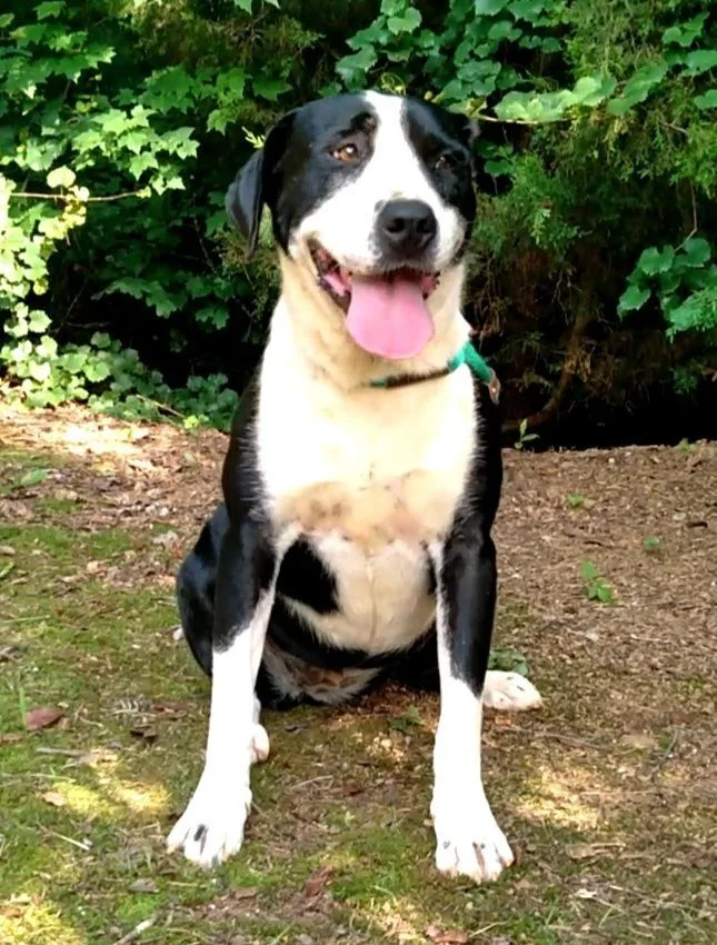 Luke & Lydia thumbnail 4