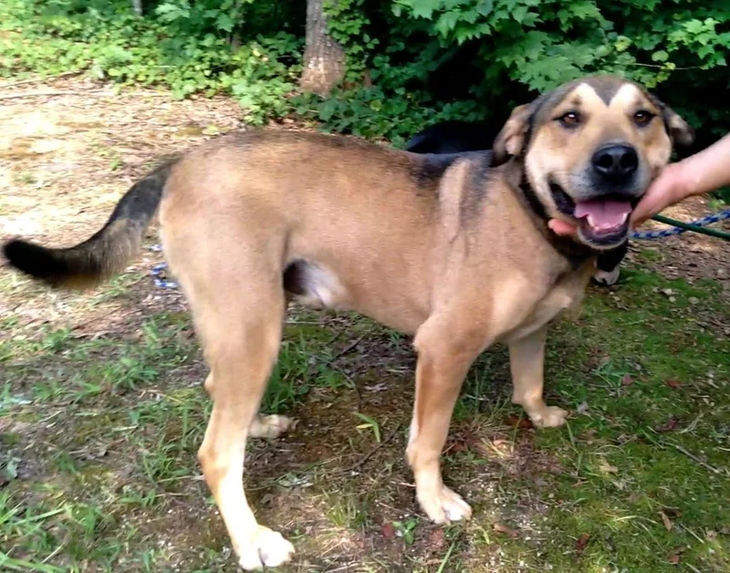 Luke & Lydia thumbnail 5