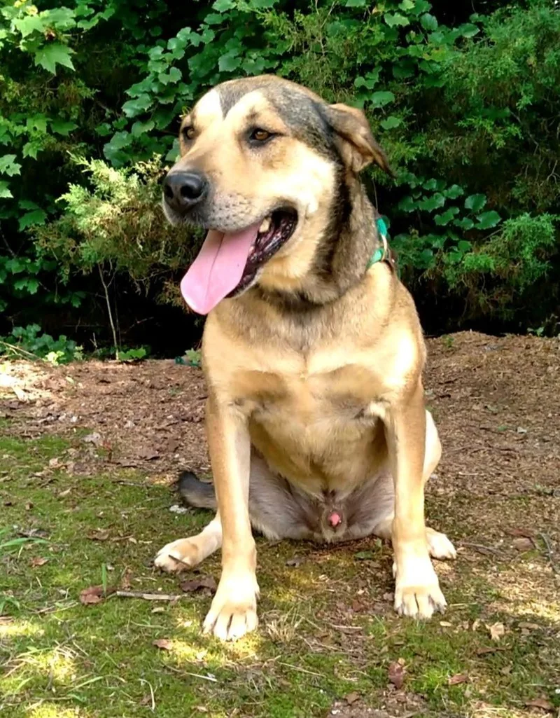 Luke & Lydia thumbnail 6