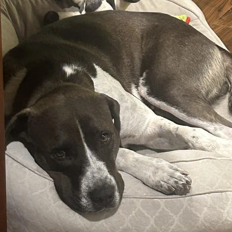 Espresso thumbnail 3