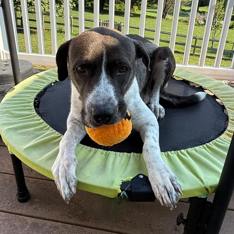 Espresso thumbnail 4