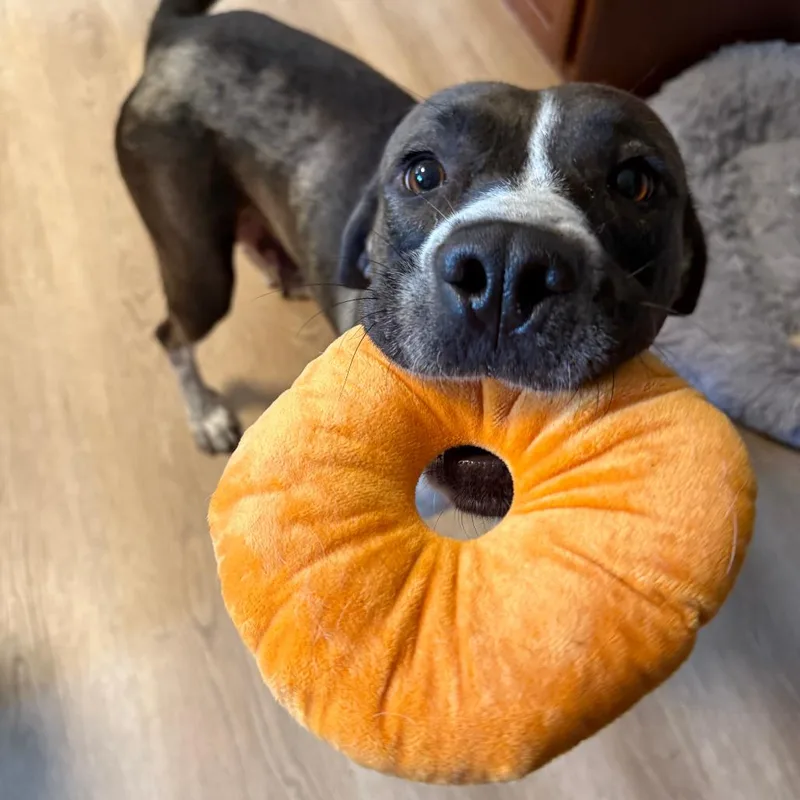 Espresso thumbnail 5