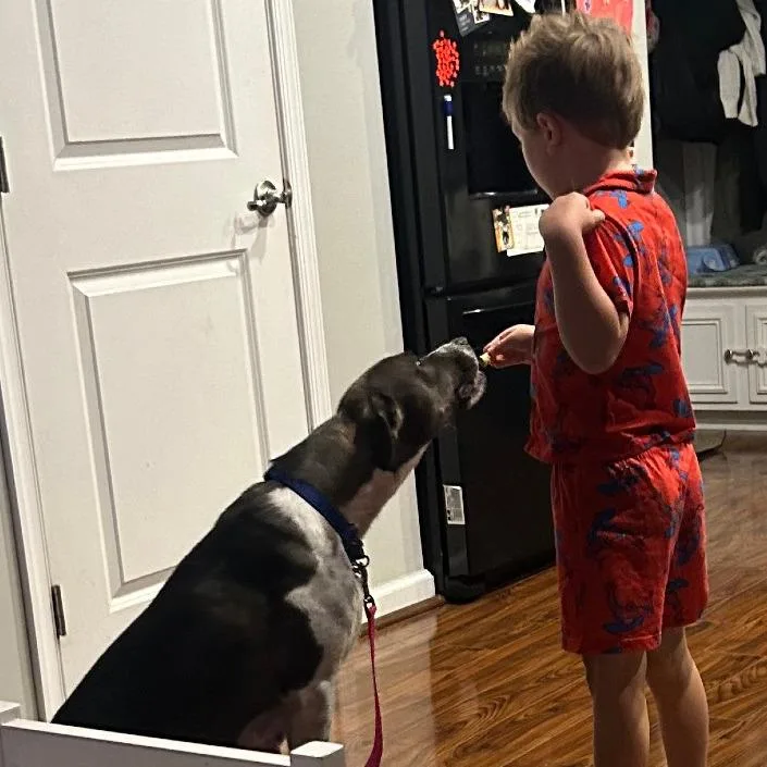 Espresso thumbnail 6