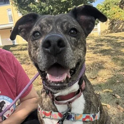 Leonardo thumbnail 6