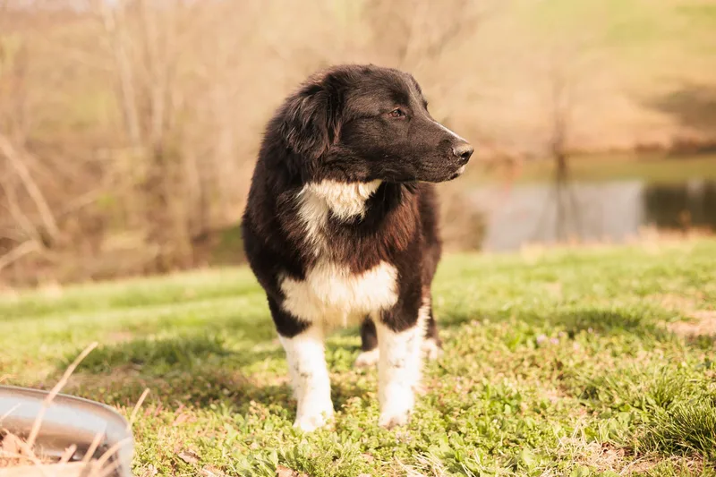 Izaiahnewfy Mix thumbnail 4