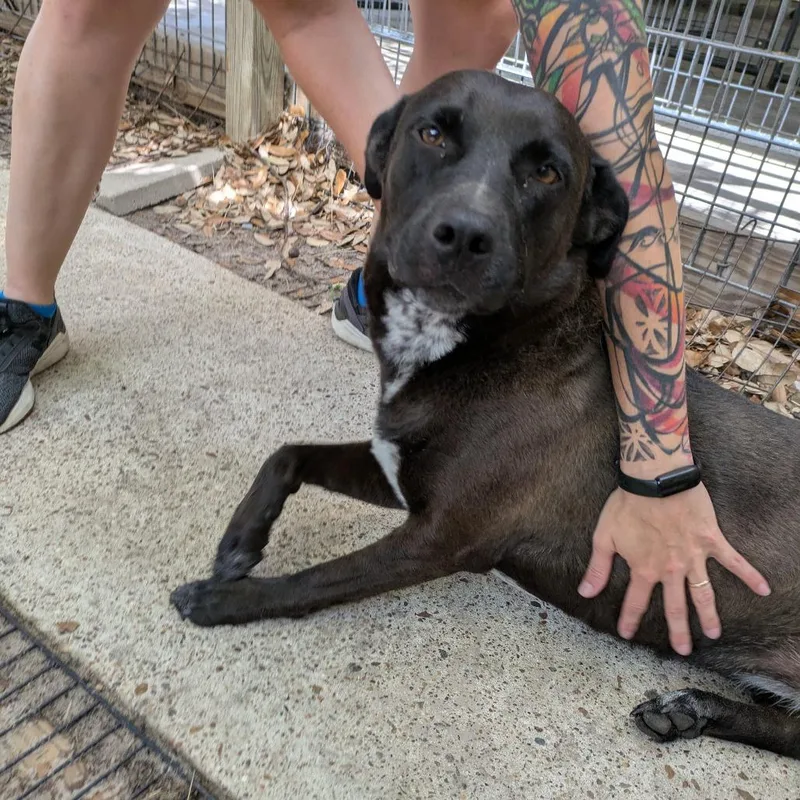 Charlotte thumbnail 2