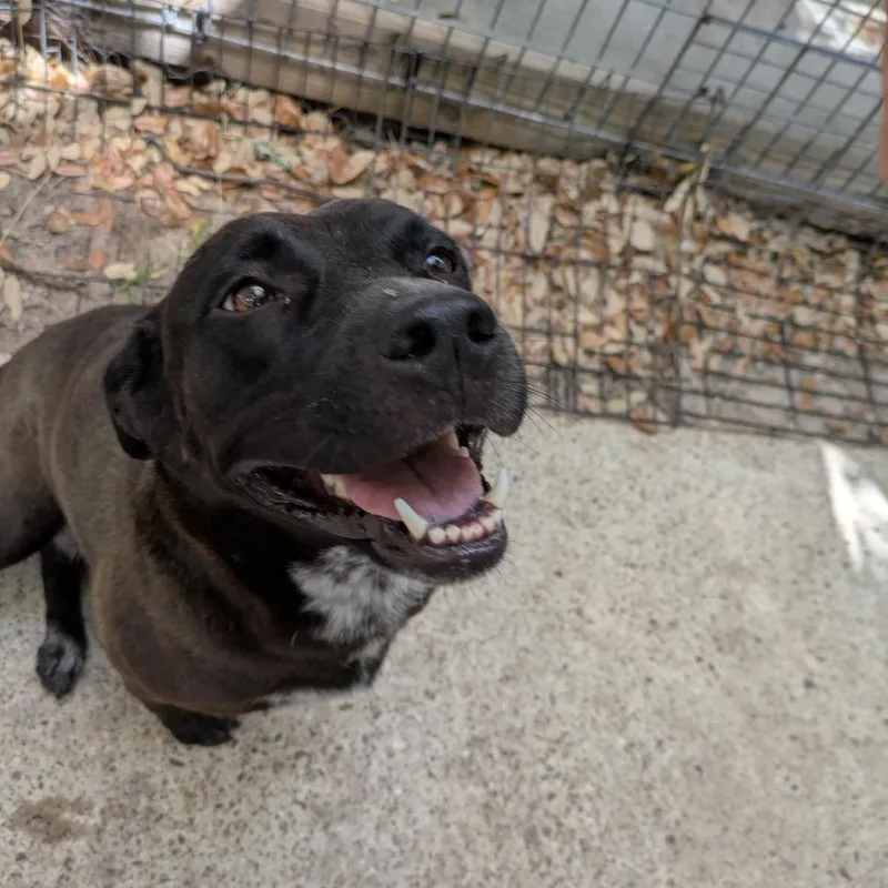 Charlotte thumbnail 3