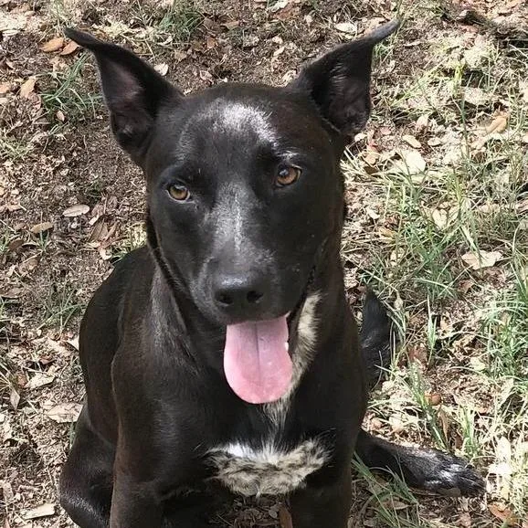 Charlotte thumbnail 4