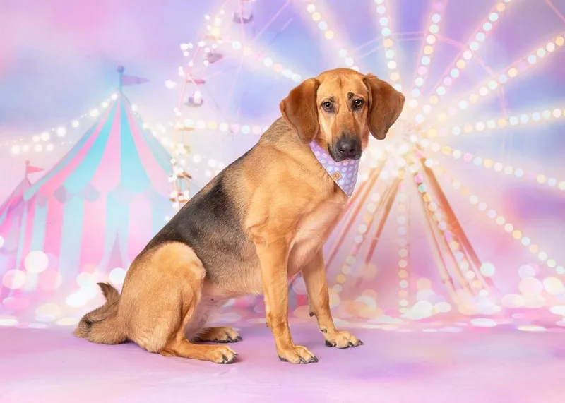 Maddie thumbnail 5