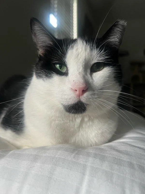 Kartelo & Sweetheart thumbnail 4