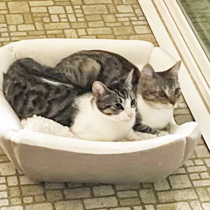 Cleo And Leona thumbnail 4