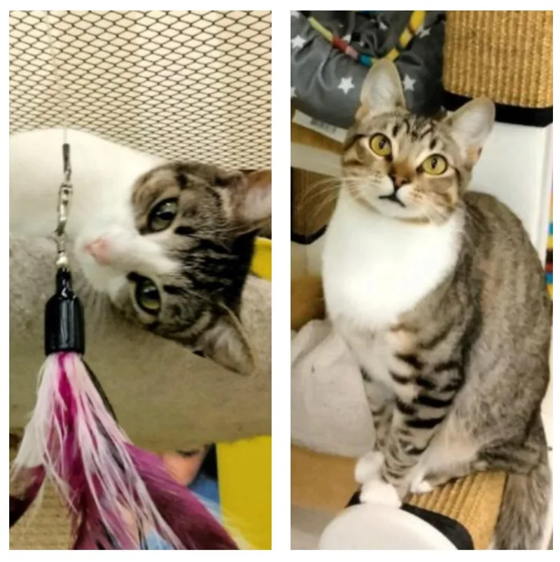 Cleo And Leona thumbnail 6