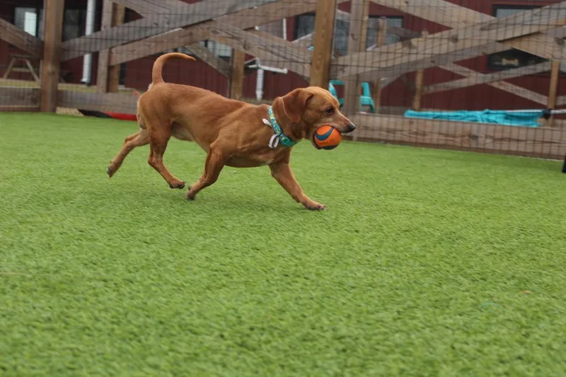 Oscar Mayer thumbnail 4