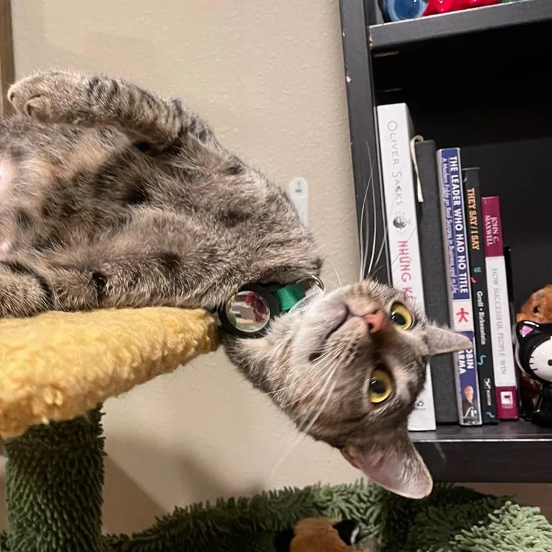 Felicity thumbnail 3