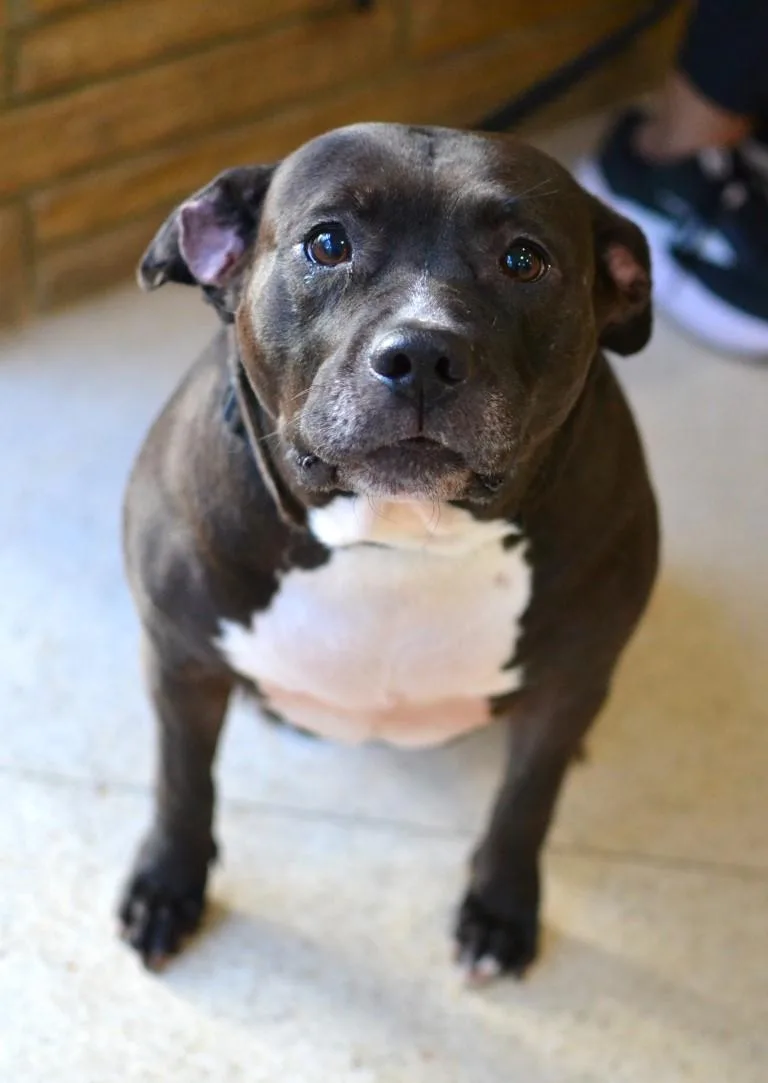 Lola thumbnail 3