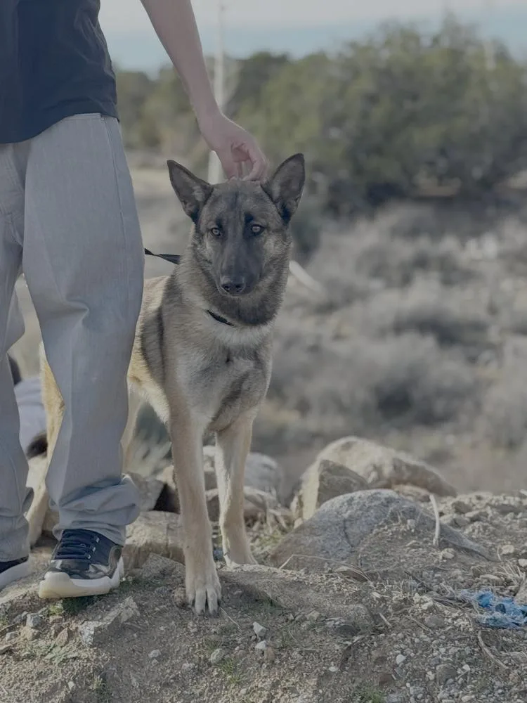 Reign Fka Sandra  thumbnail 3