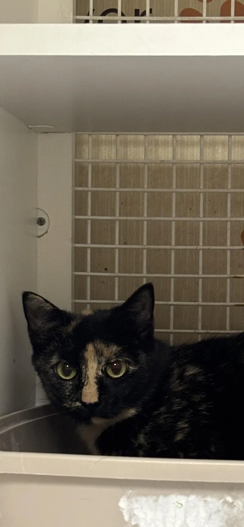 Carla thumbnail 3