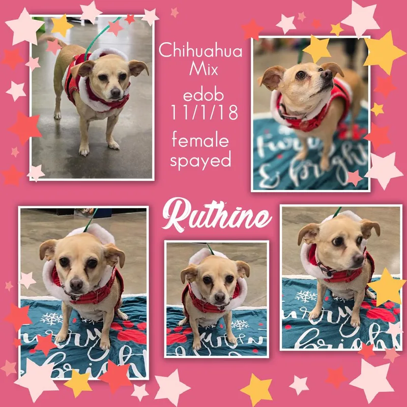 Ruthine Slthw thumbnail 6